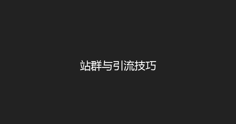 站群与引流技巧 封面图