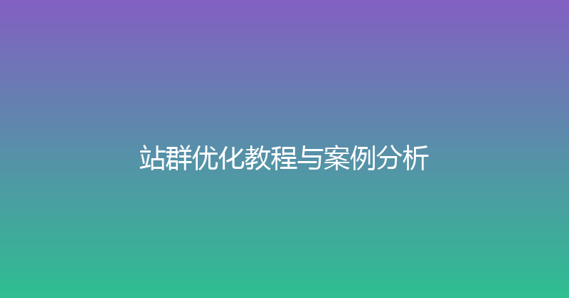 站群优化教程与案例分析 封面图