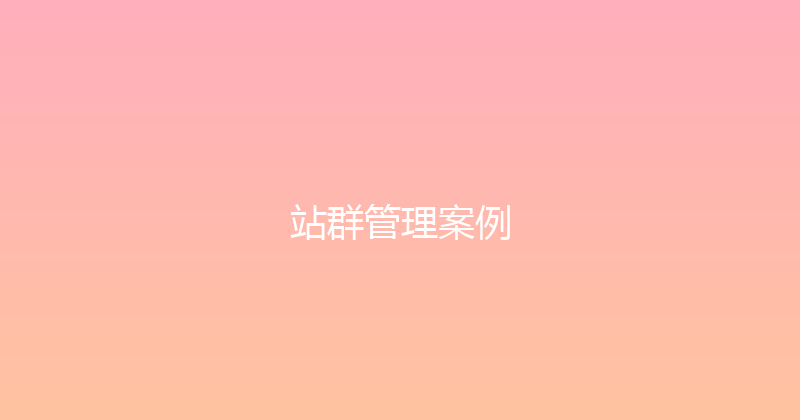 站群管理案例 封面图