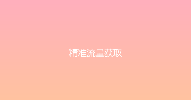 精准流量获取 封面图