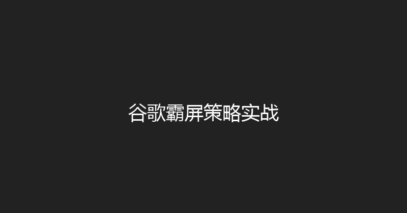 谷歌霸屏策略实战 封面图